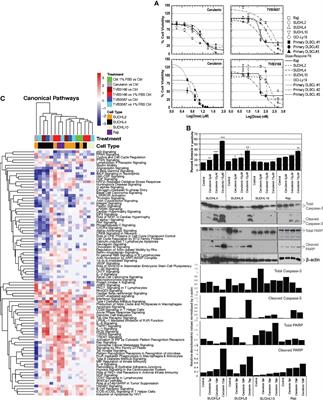 Oncogenic Integration of Nucleotide Metabolism via Fatty Acid Synthase in Non-Hodgkin Lymphoma